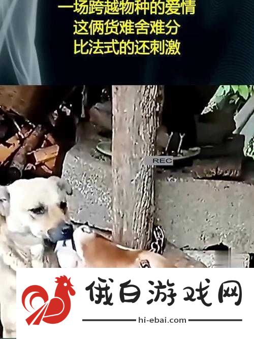 与畜禽狗