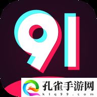 91网站