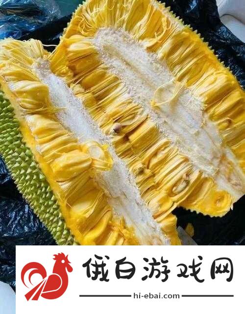 菠萝菠萝蜜视频免费高清观看