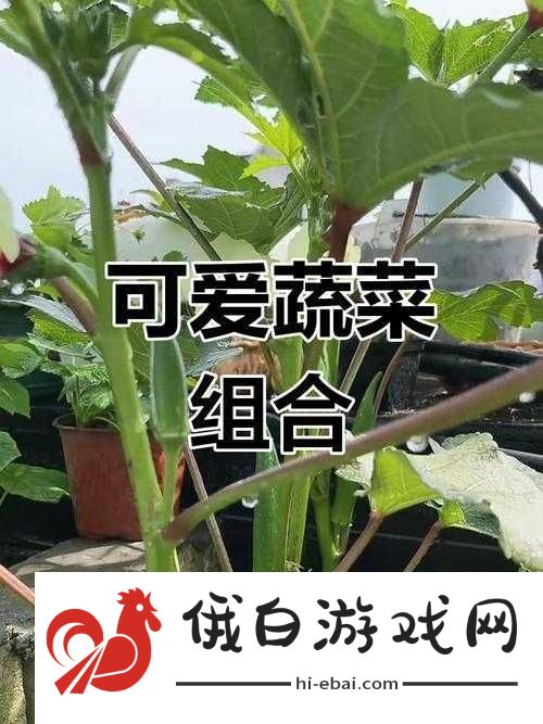 草莓丝瓜榴莲秋葵黄瓜丝的奇妙搭配