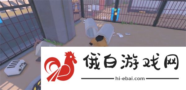 《小猫咪大城市》遇到一只鸟儿攻略