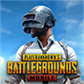 pubg地铁逃生国际服