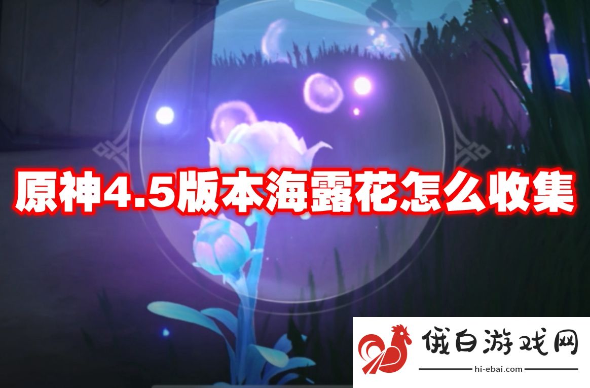 原神4.5版本海露花怎么收集